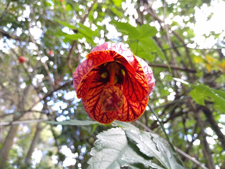 Ecuador