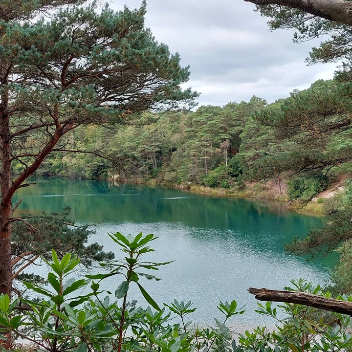 Blue pool beauty