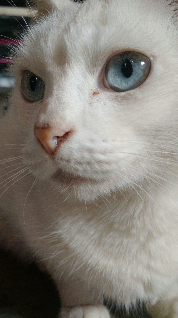 Pedacinho de céu :)
