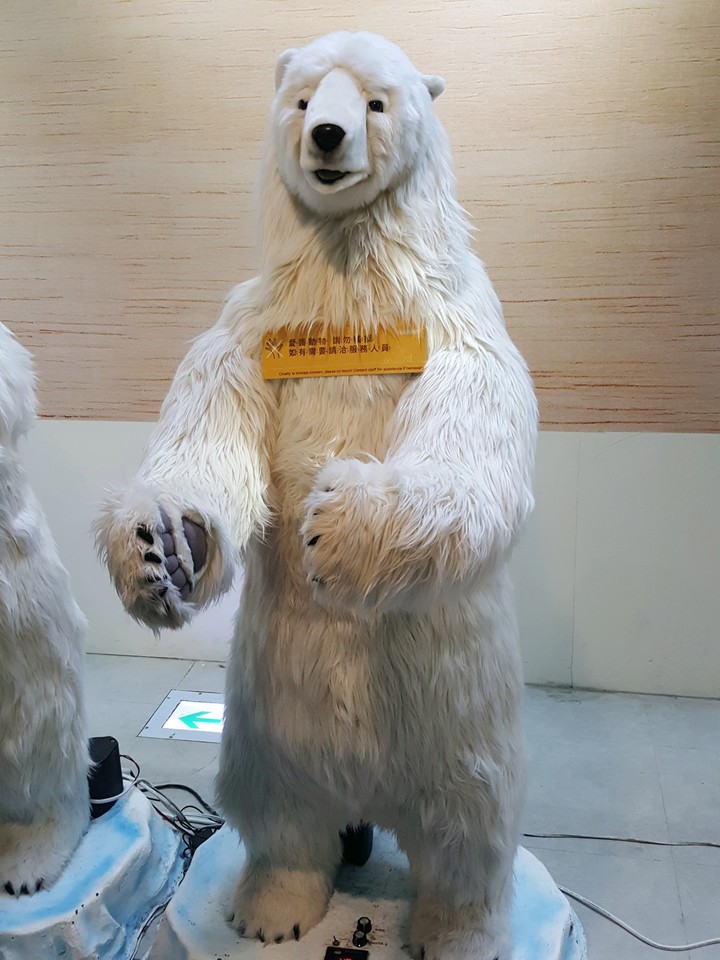 北極熊