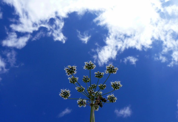 Blue sky