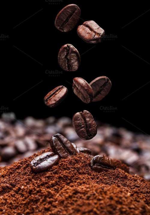 coffee bean