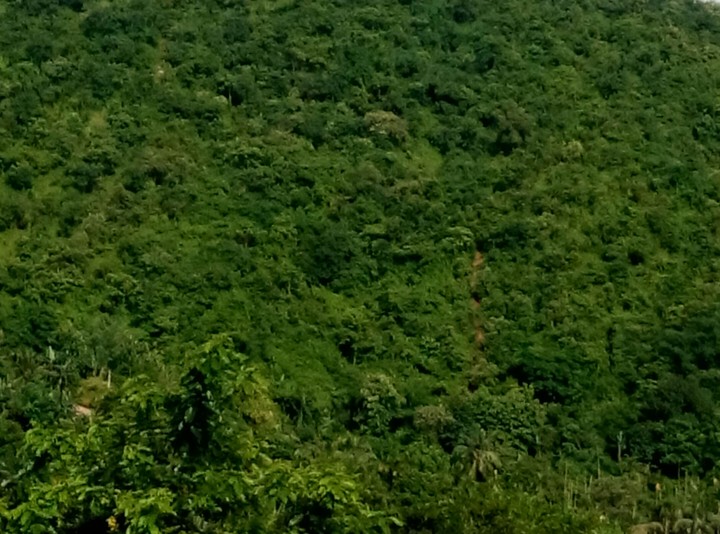 Guwahati