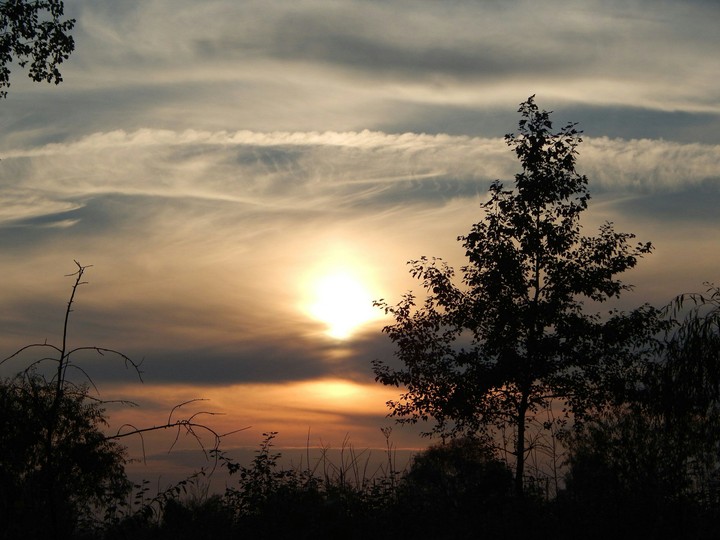 Sky.