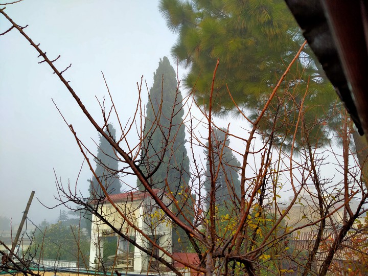Foggy land