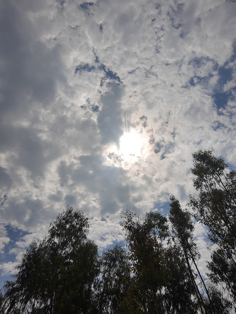 Skies never lie
