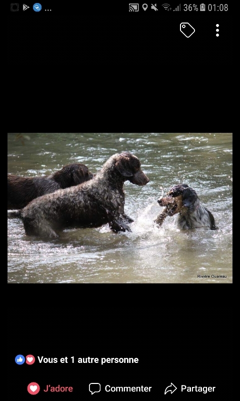 Pontos à l'eau!