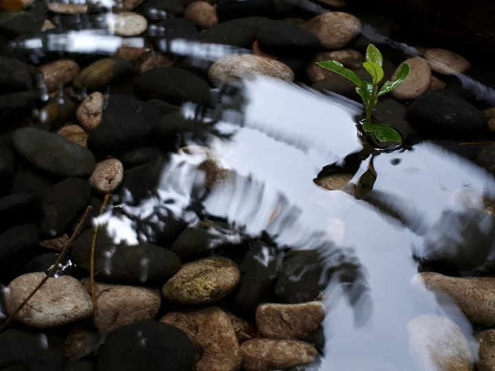 Standing in the ripple
