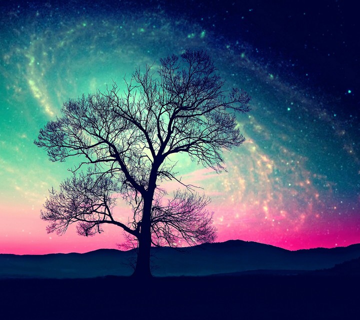 horizonmagical