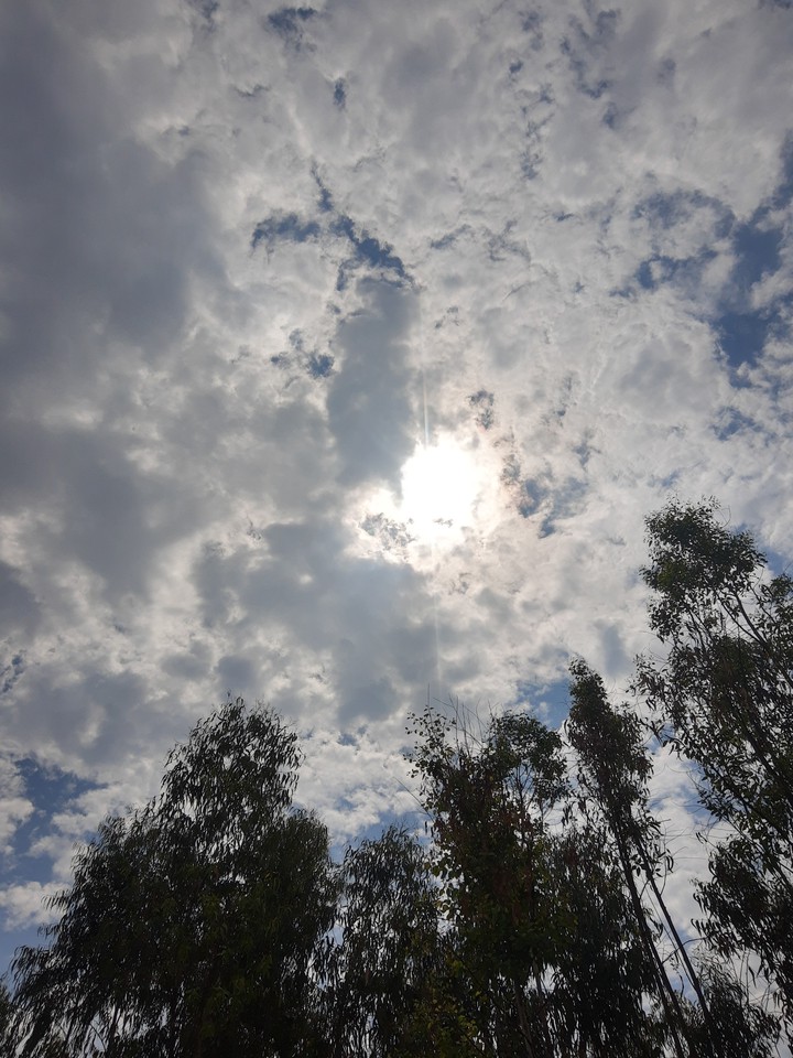 Skies never lie