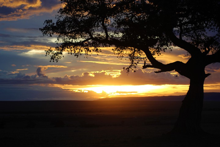 An evening in the Mara