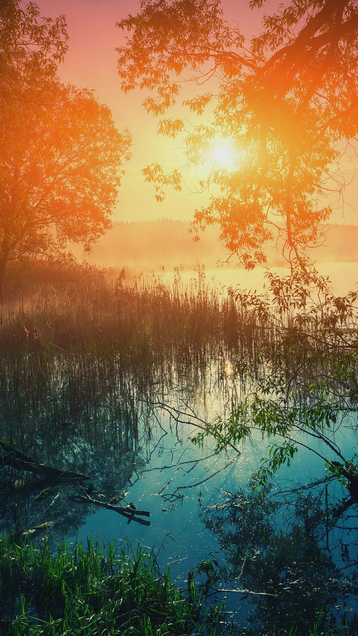 beautiful