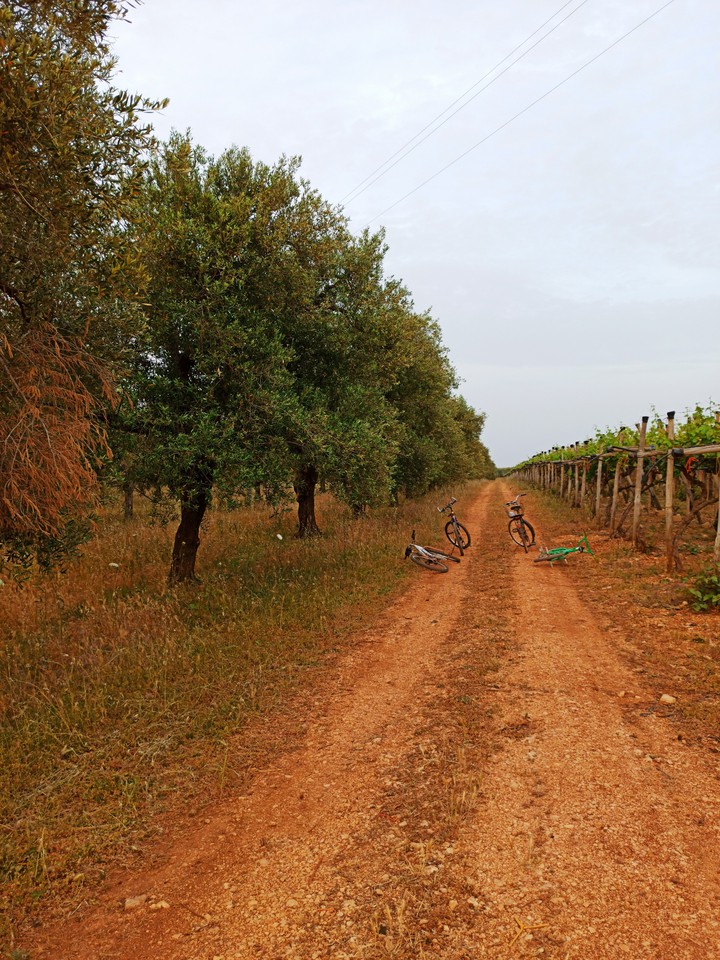 Follow your road