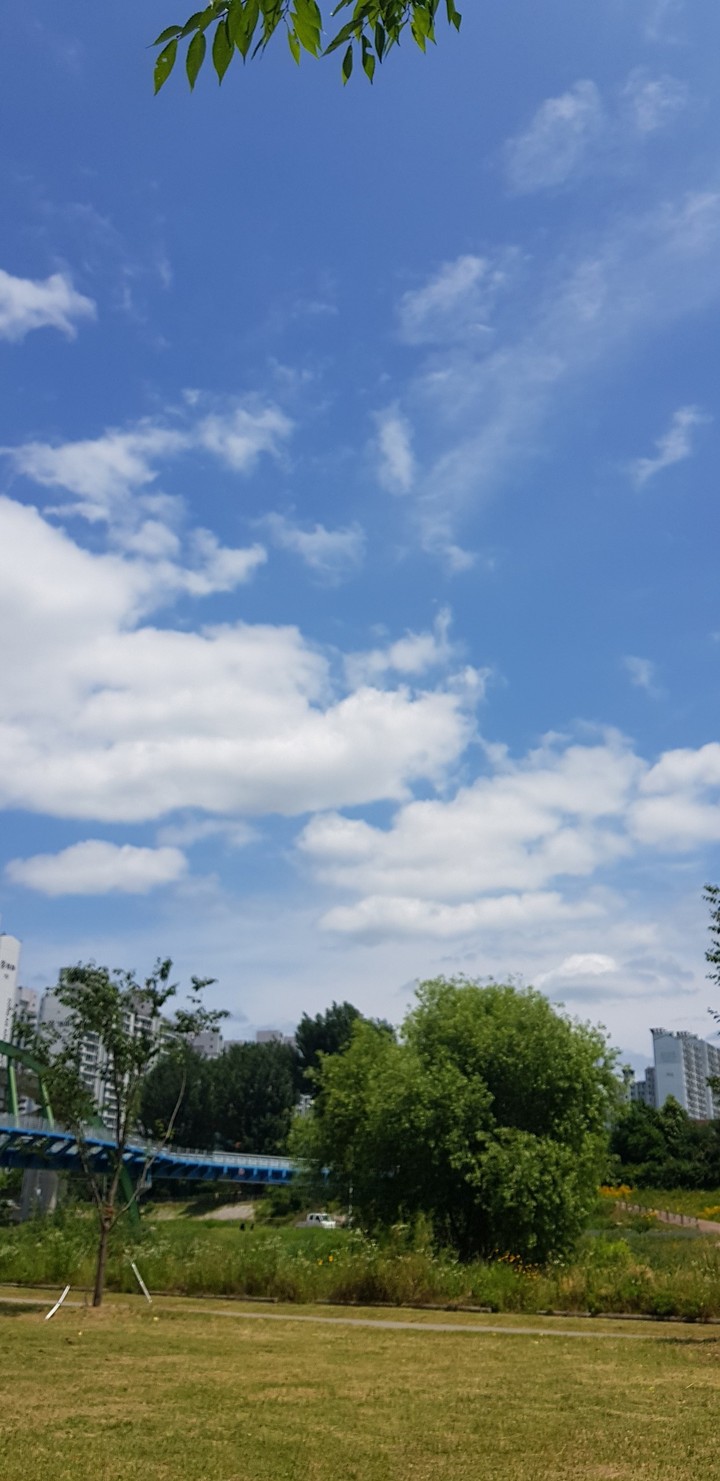 하늘풍경