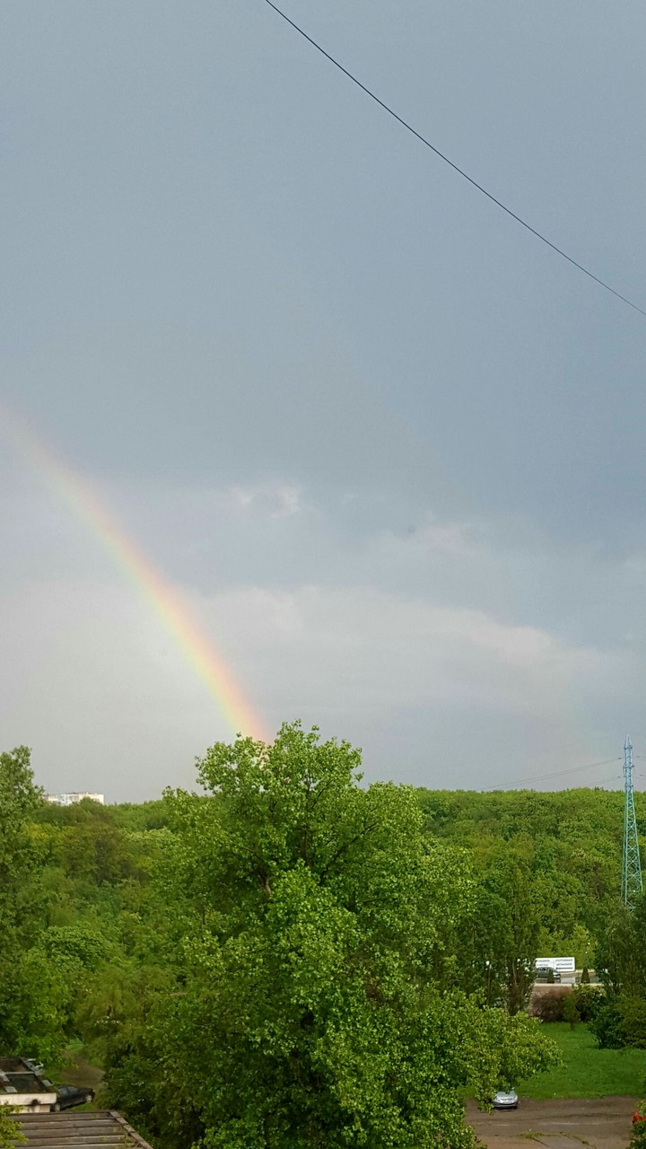 reinbow
