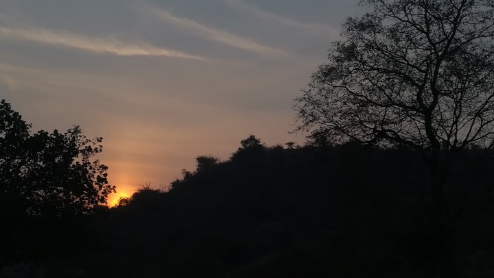 Nature's Beauty