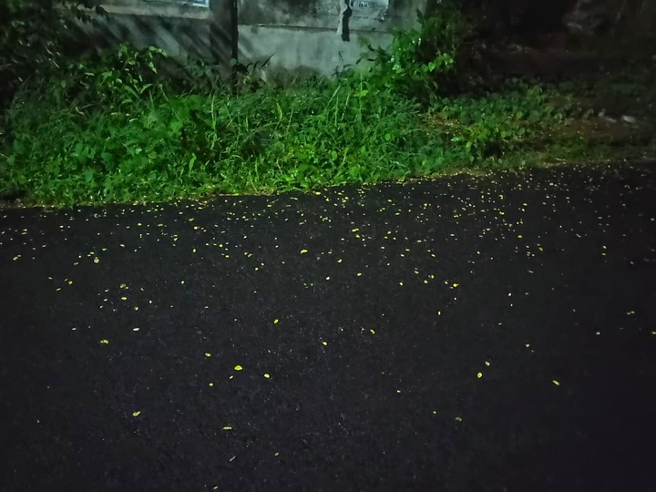 The road not taken