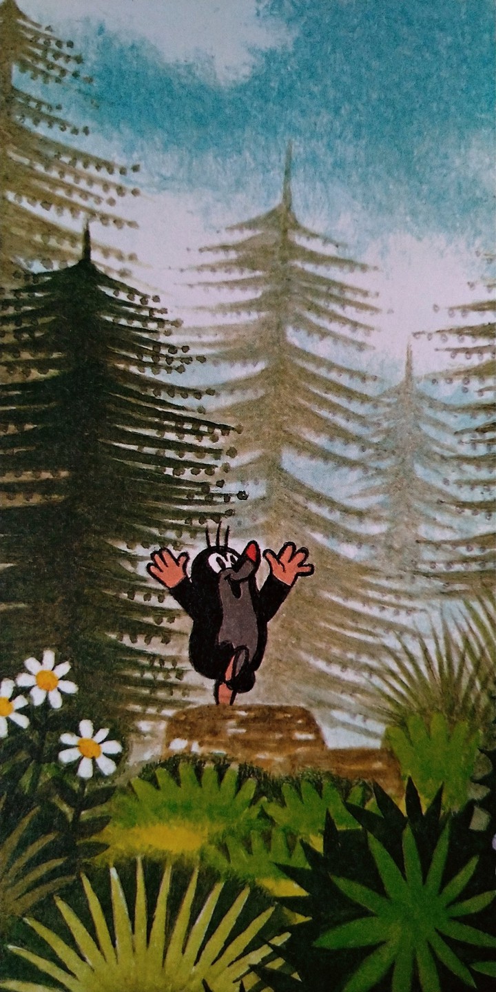 Krtek