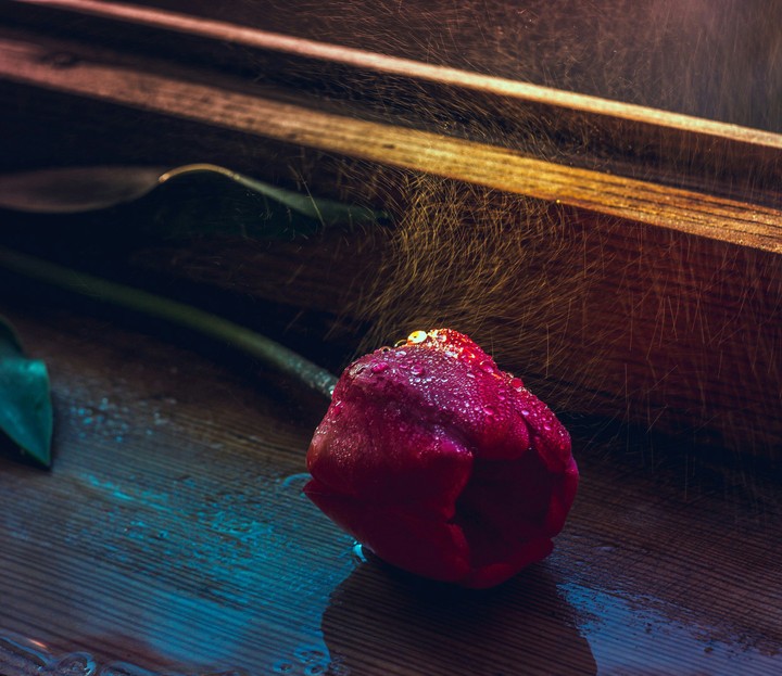 Magic flower