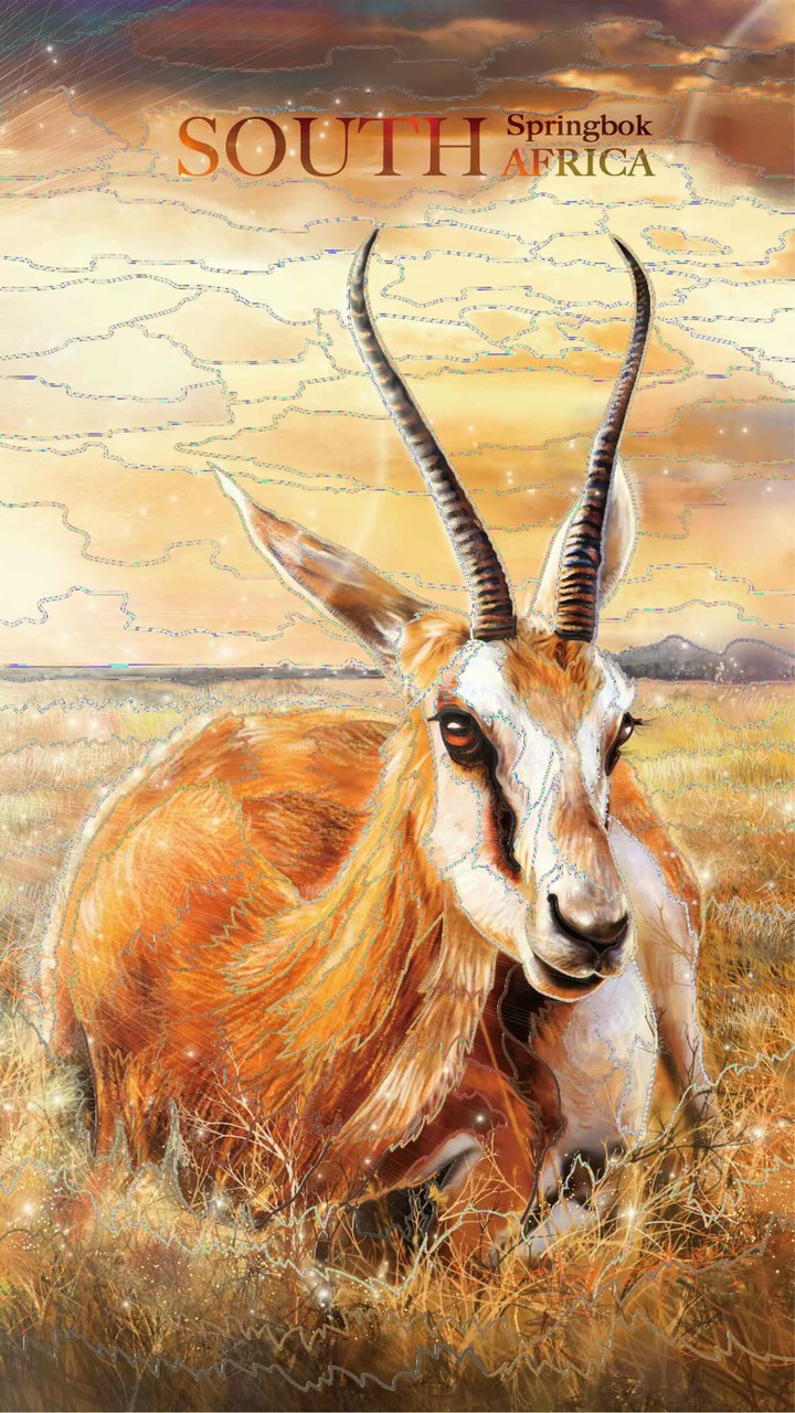 Springbok: South Africa
