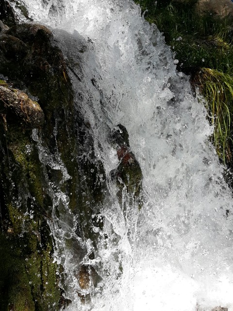 Water