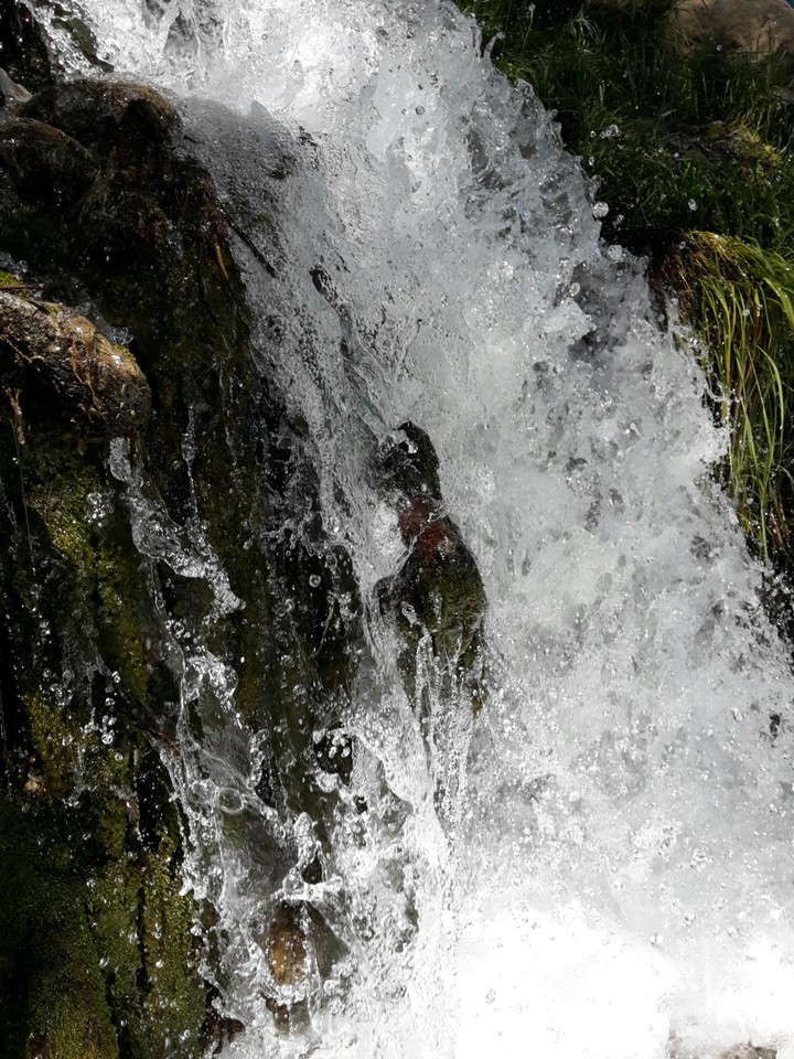Water