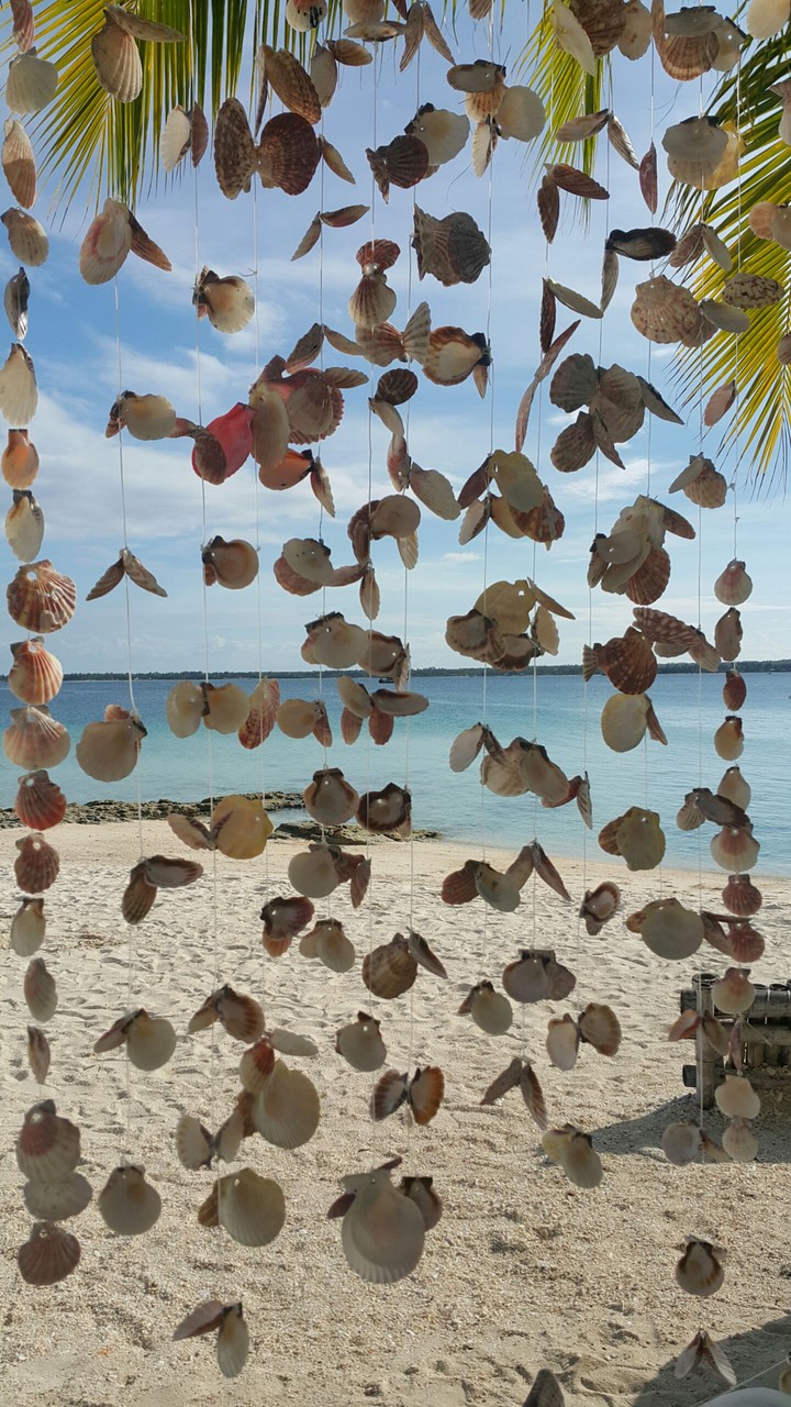 Shells