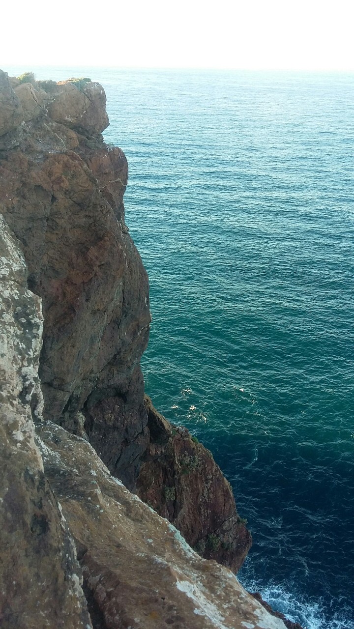 sea