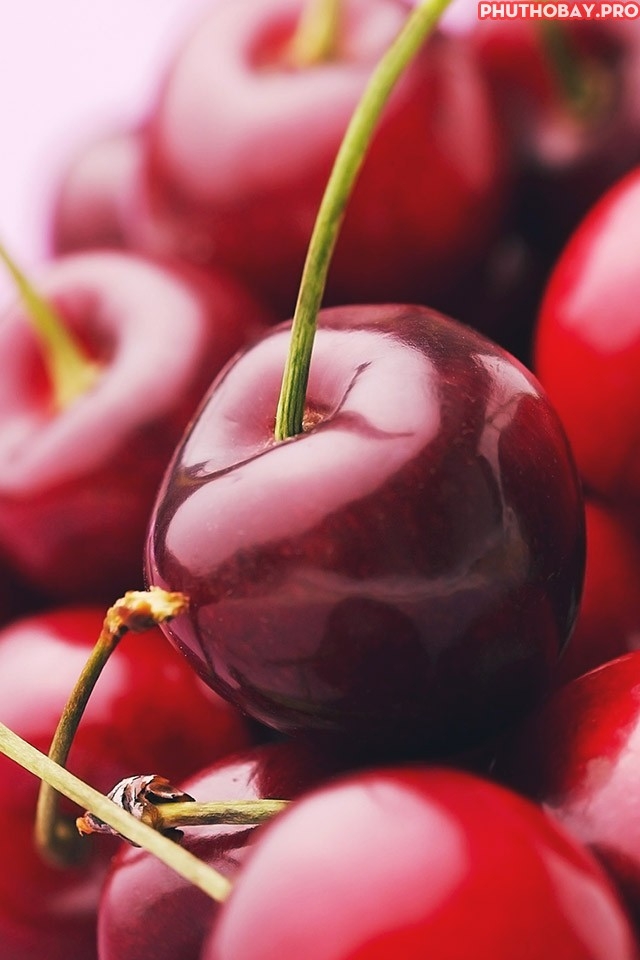 Cherry 