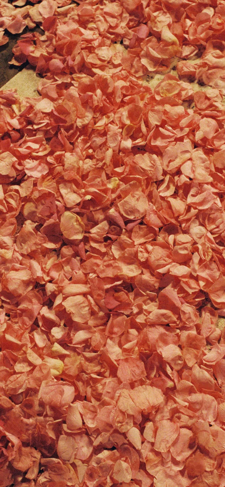 floral