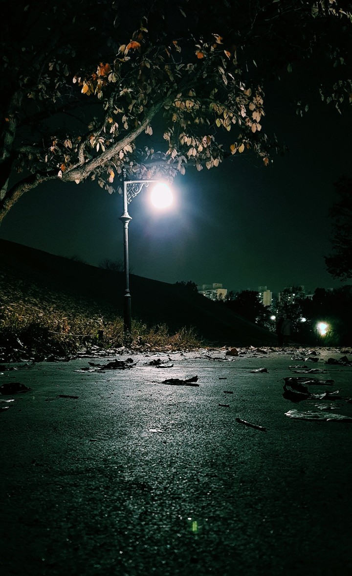 가로등