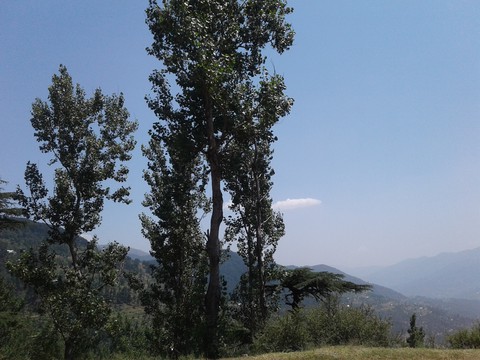 snap of heaven
