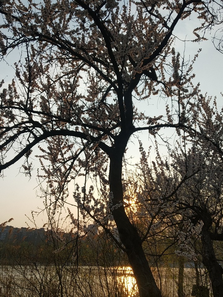 Весенняя пора