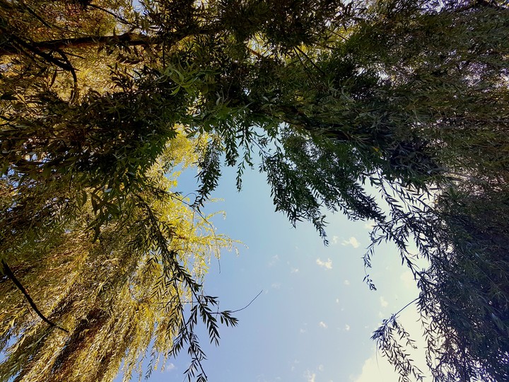 morning sky