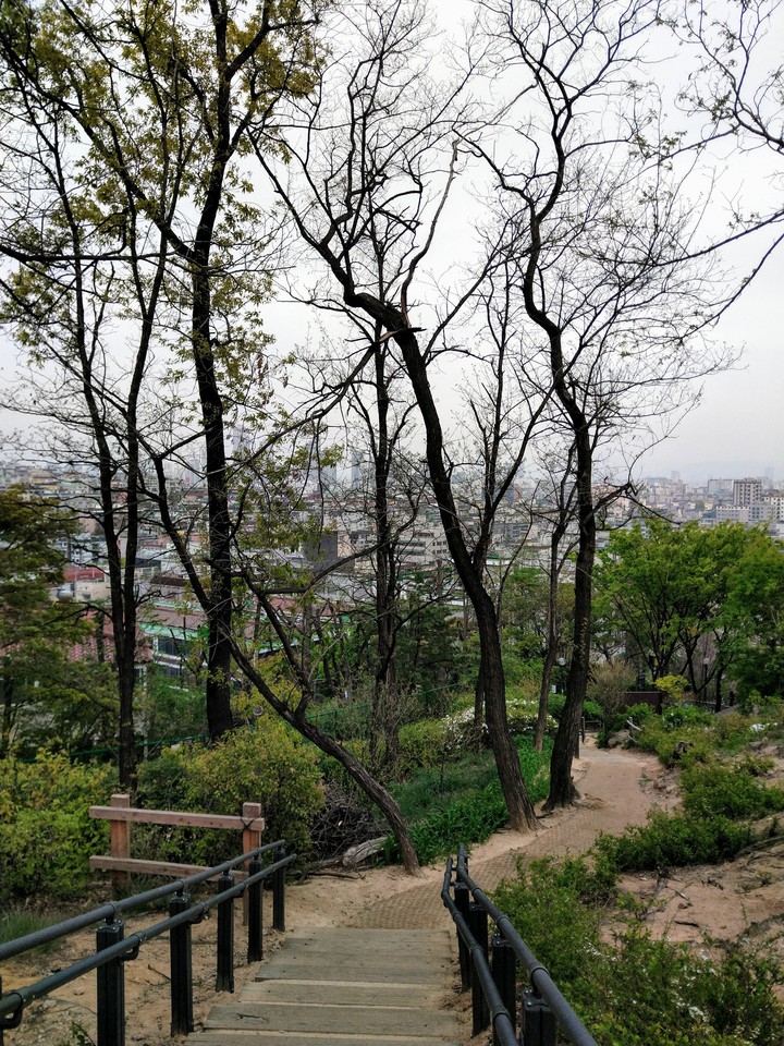 까치산