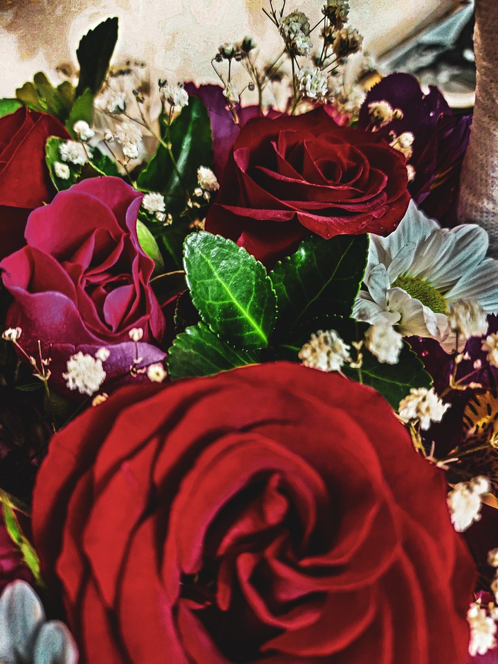 Roses
