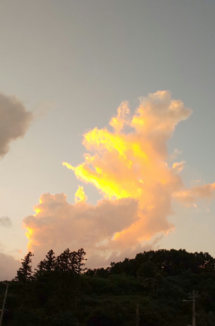 今日の空