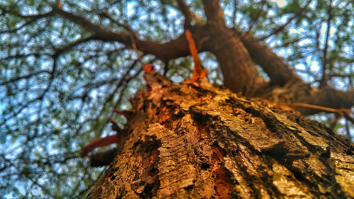 photography
