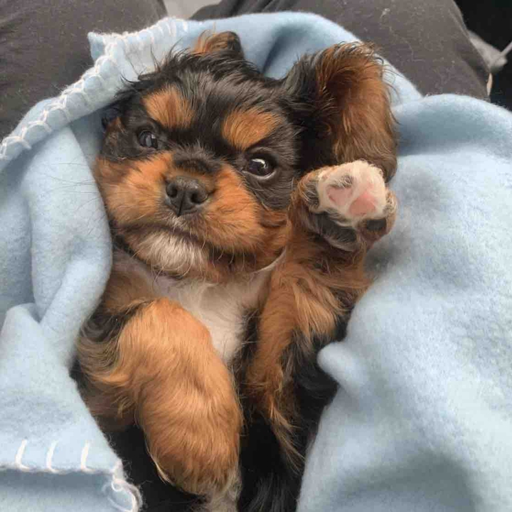 ?