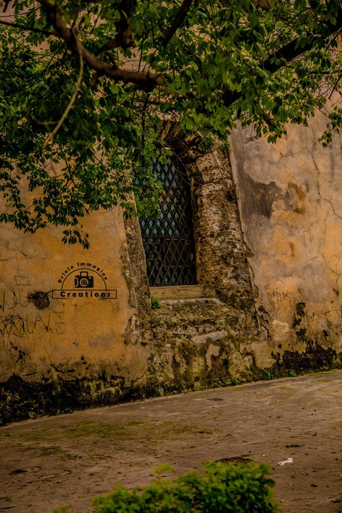 Finestre di Palermo