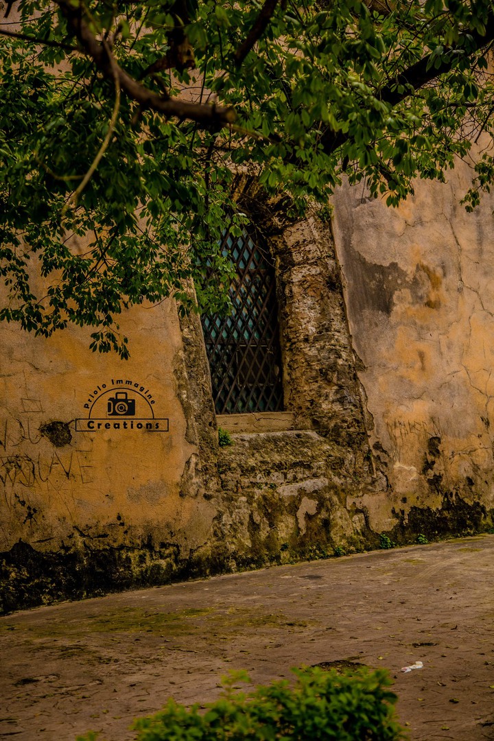 Finestre di Palermo