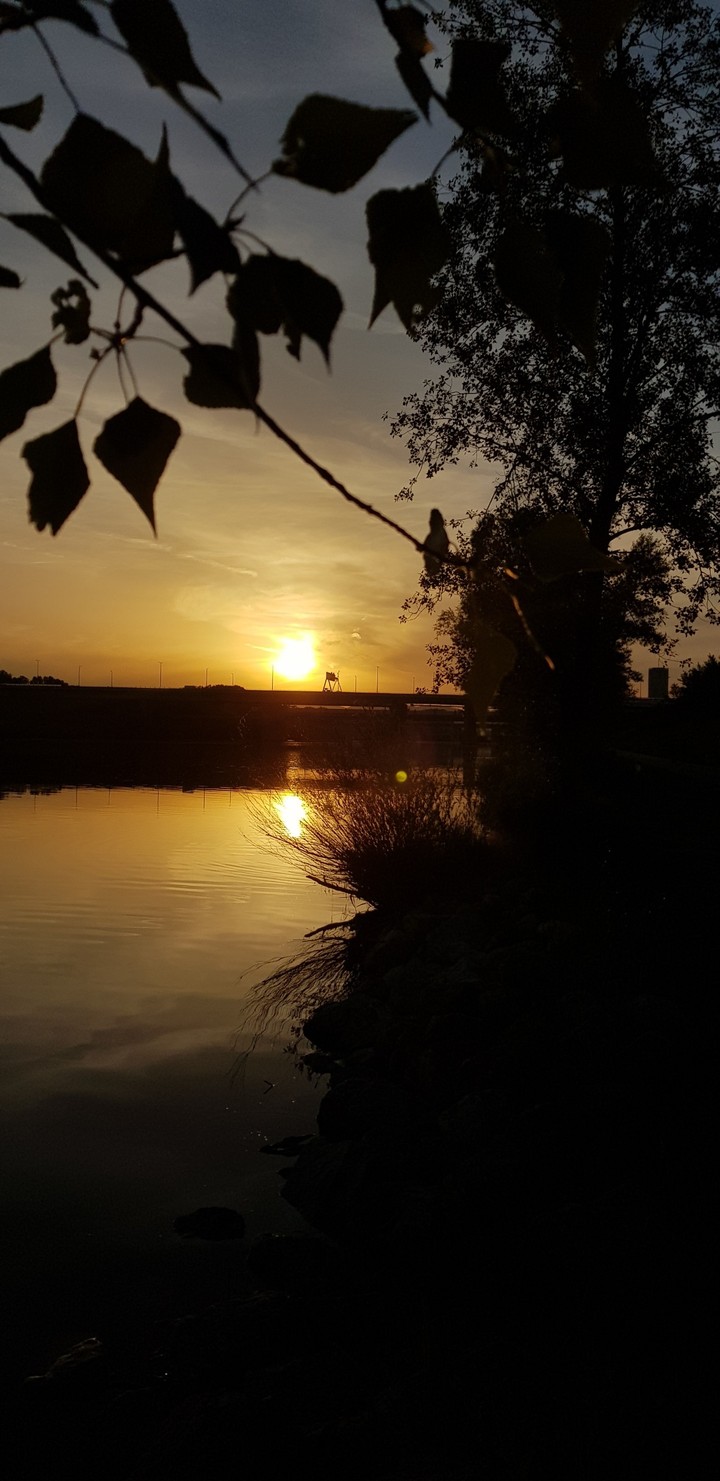 sunset