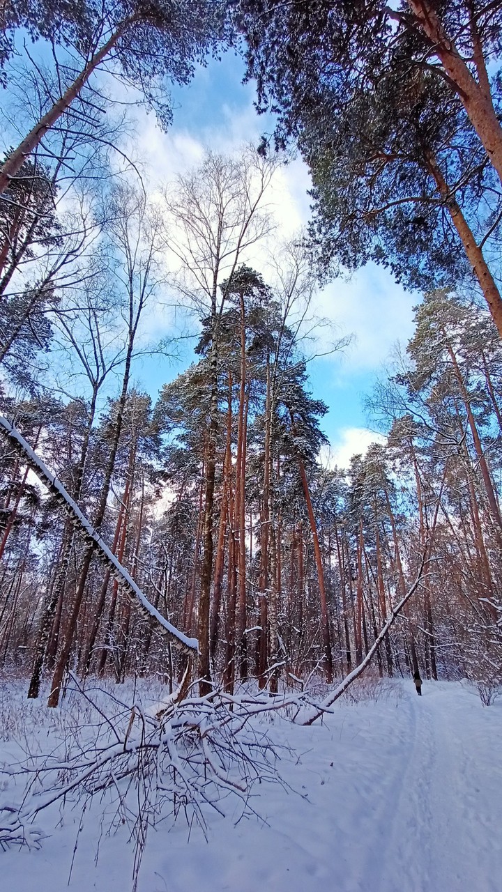 winter
