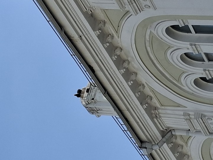 шпалери Molding, daytime