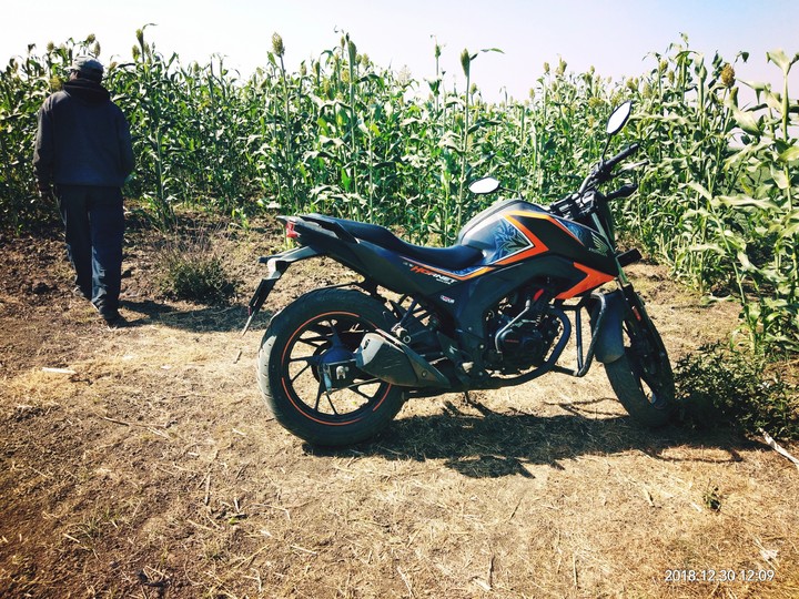 Bike