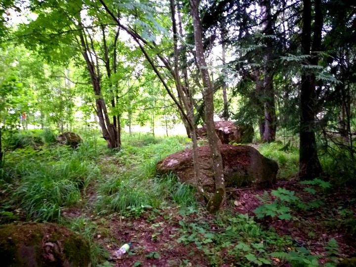 12.07.2019 г.