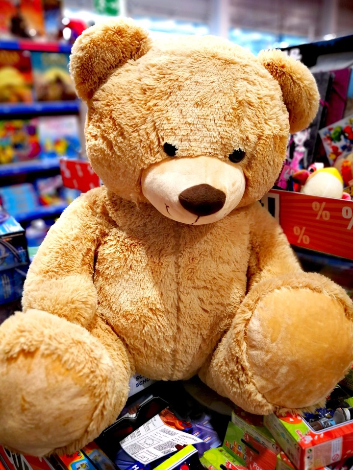 Teddybär