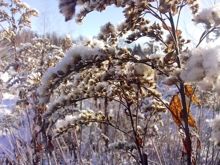 Зима
