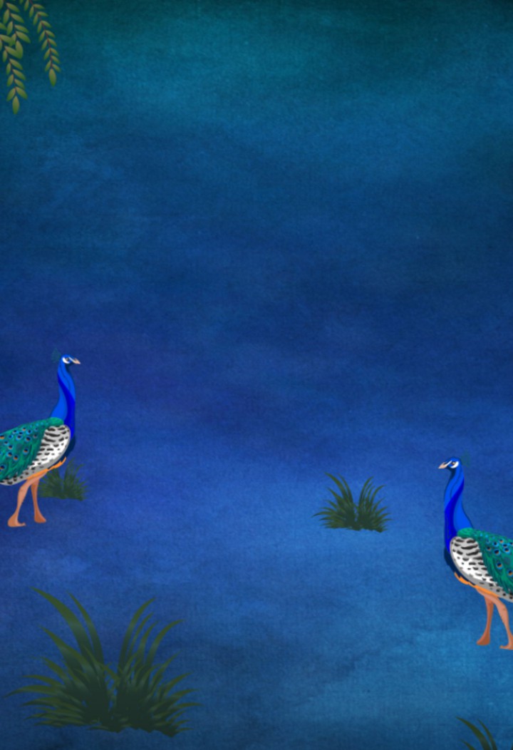 peacock art