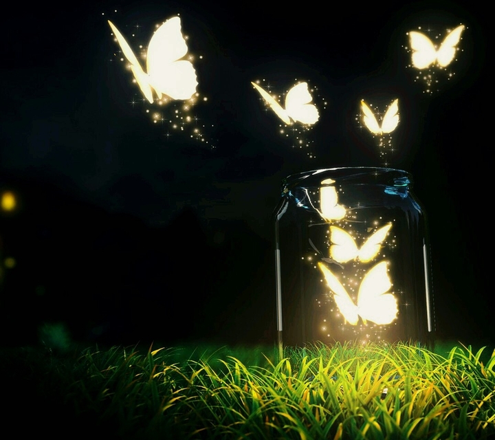 gleaming butterflies
